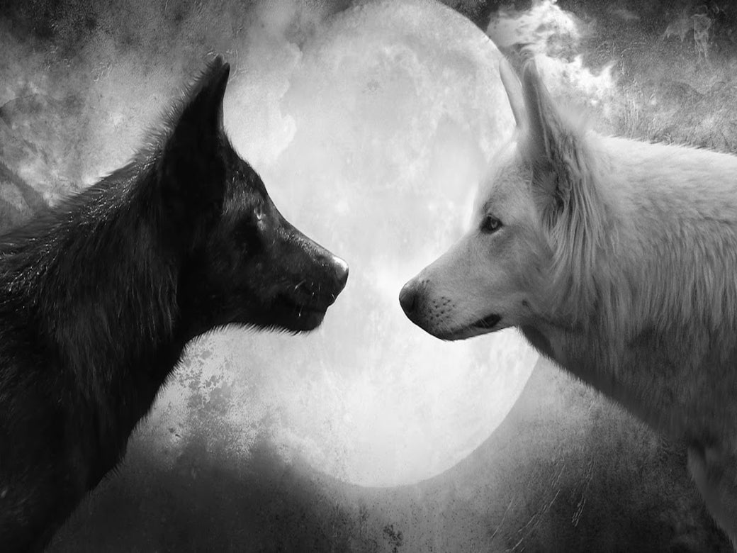 The Story Of Two Wolves – Welcome Native Spirit LLC