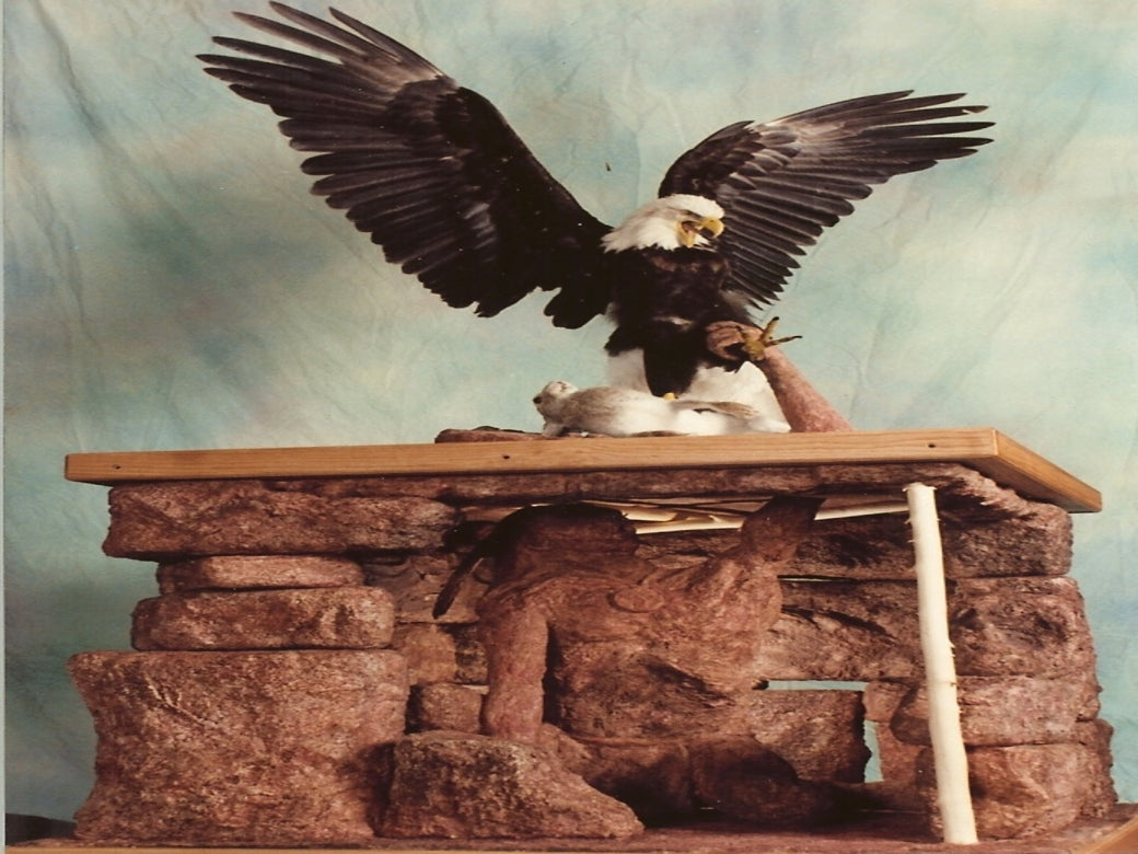 Look Closely, A Bigger Story Is Reveal