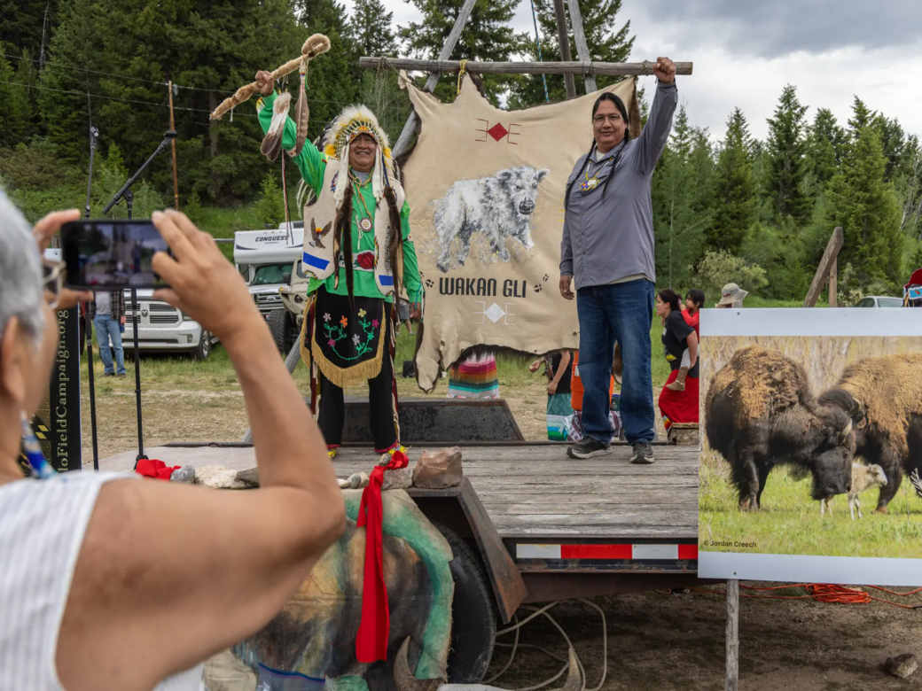 A Rare White Buffalo Calf Arrives in Yellowstone With a Message