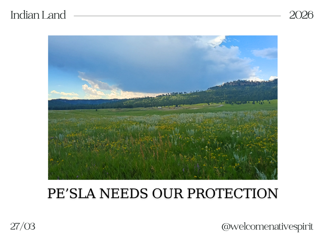 Pe’Sla Needs Our Protection: Help Us Save this Sacred Site from Illegal Drilling