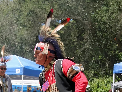 The Native American Chicken Dance