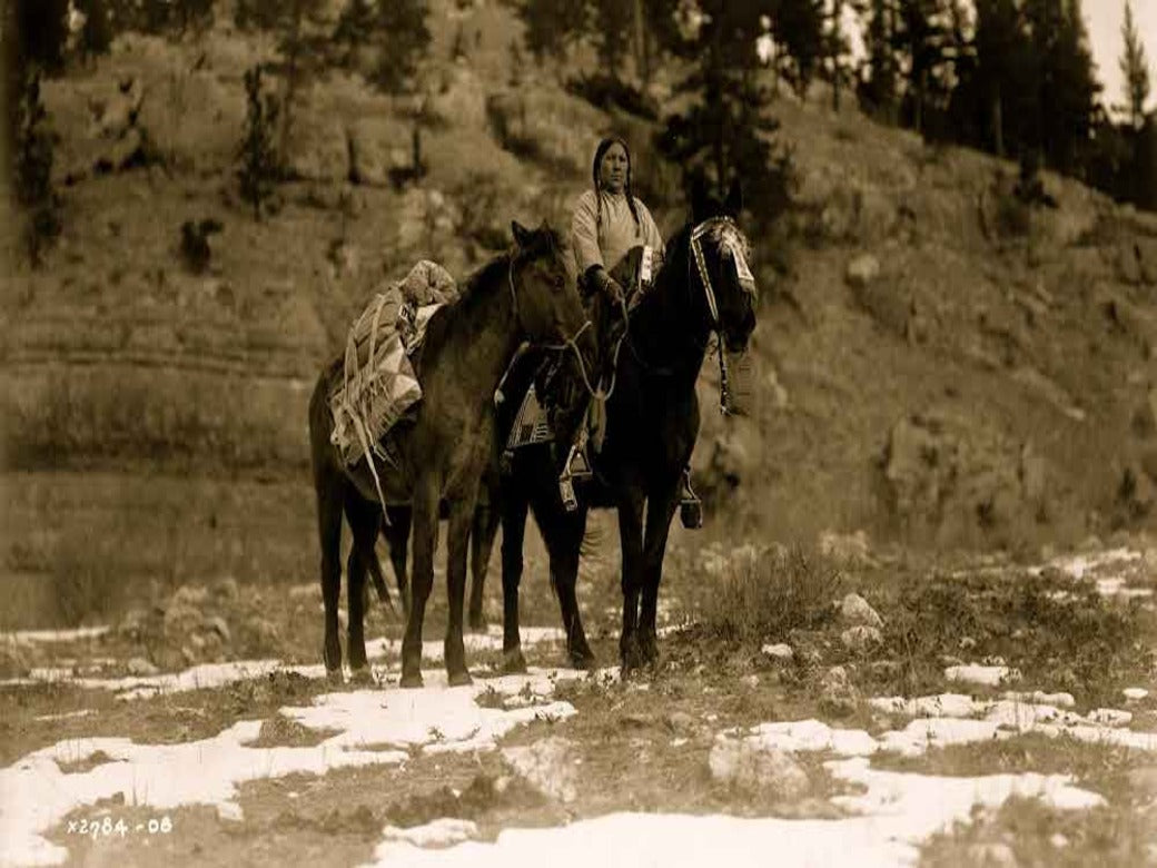 How Horses Transformed Life for Plains Indians