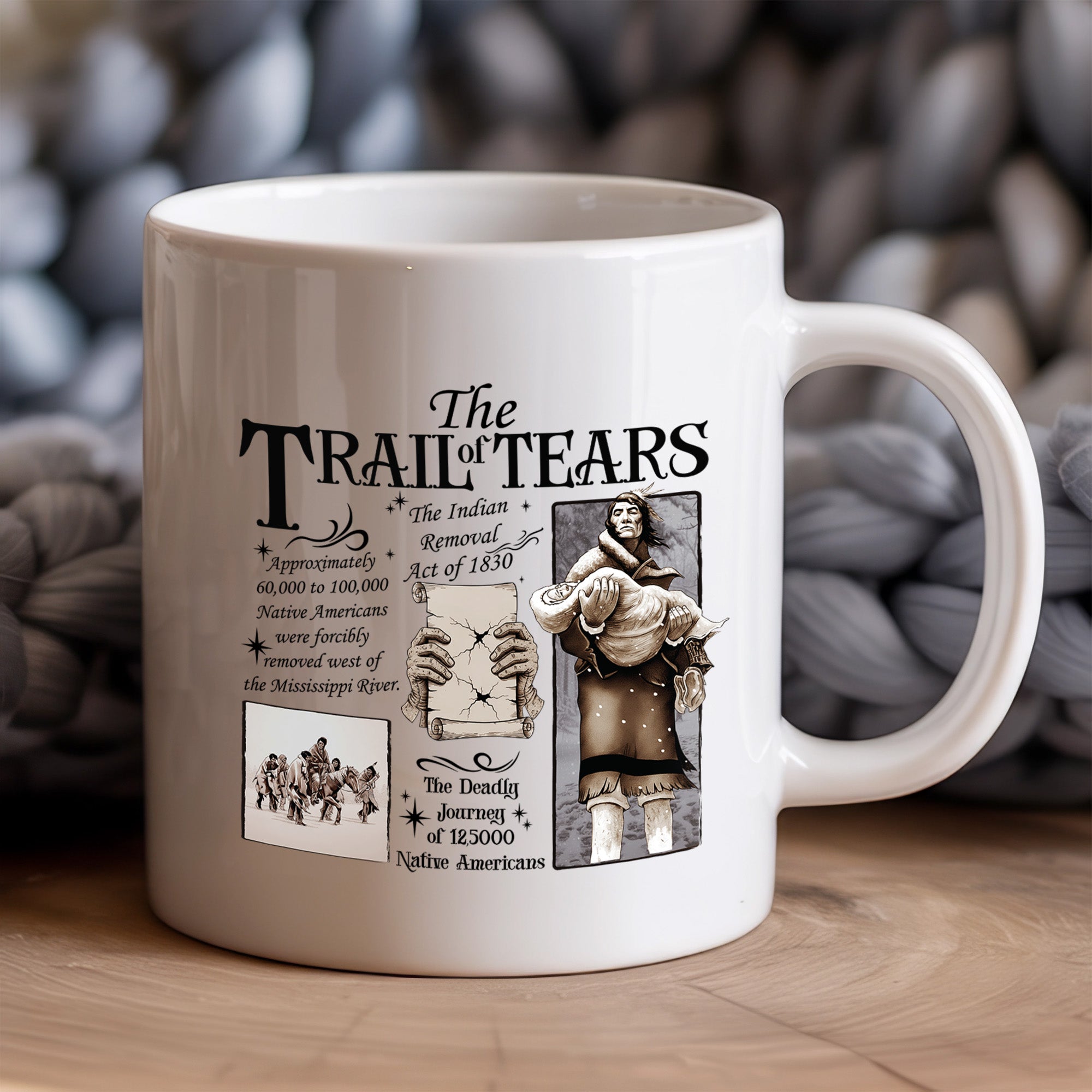 Their Pain, Our Memory Trail of Tears Native American Heritage Mug